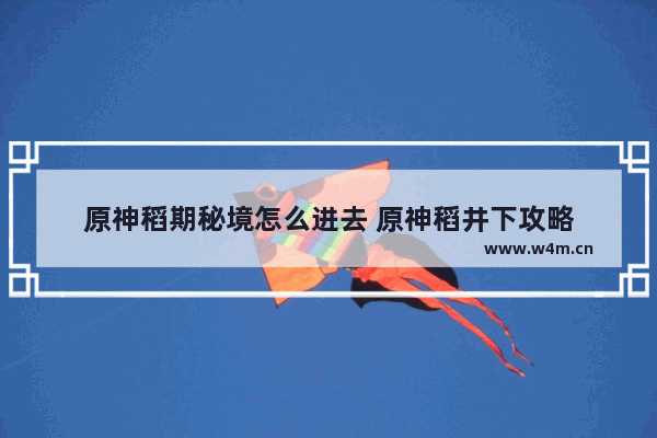 原神稻期秘境怎么进去 原神稻井下攻略