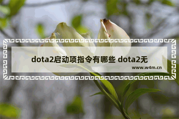 dota2启动项指令有哪些 dota2无法创建dx11渲染设备