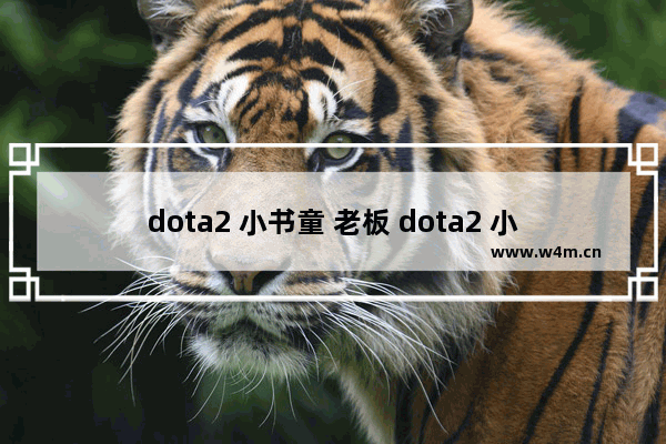 dota2 小书童 老板 dota2 小书童 老板