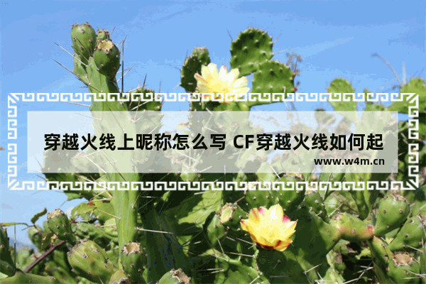 穿越火线上昵称怎么写 CF穿越火线如何起空白名字