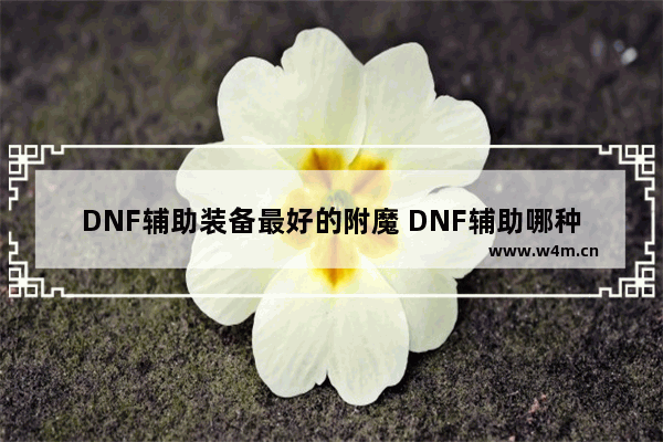 DNF辅助装备最好的附魔 DNF辅助哪种最好用 要求功能多的。最稳定的