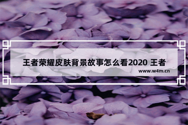 王者荣耀皮肤背景故事怎么看2020 王者荣耀皮肤故事站