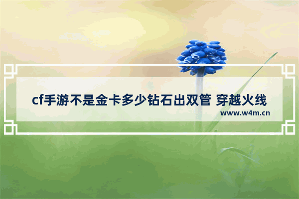 cf手游不是金卡多少钻石出双管 穿越火线手游金卡