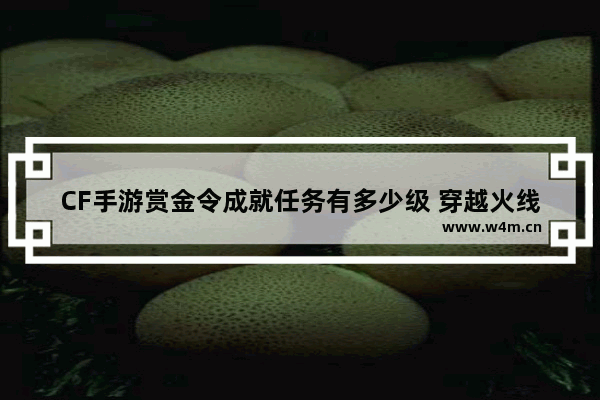 CF手游赏金令成就任务有多少级 穿越火线手游成就