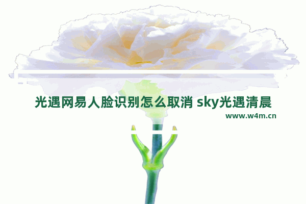 光遇网易人脸识别怎么取消 sky光遇清晨