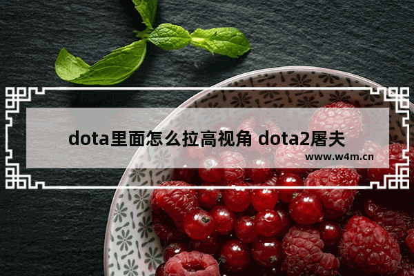 dota里面怎么拉高视角 dota2屠夫技能介绍