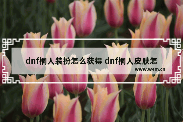 dnf桐人装扮怎么获得 dnf桐人皮肤怎么获得