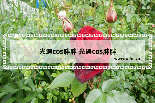 光遇cos胖胖 光遇cos胖胖