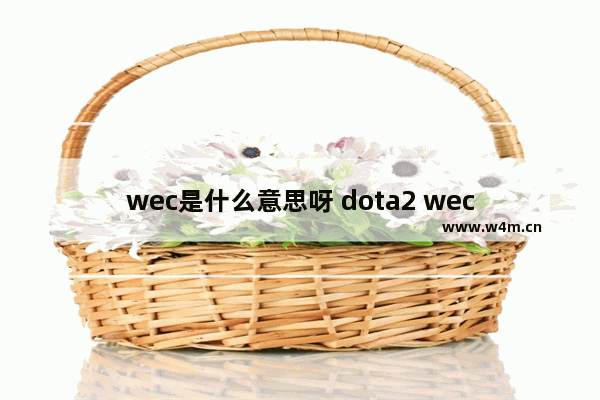 wec是什么意思呀 dota2 wec