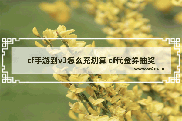 cf手游到v3怎么充划算 cf代金券抽奖技巧