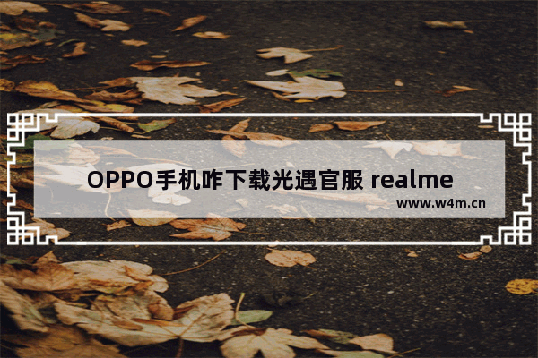 OPPO手机咋下载光遇官服 realme光遇是什么oppo服