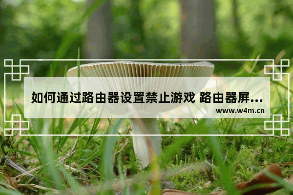 如何通过路由器设置禁止游戏 路由器屏蔽王者荣耀