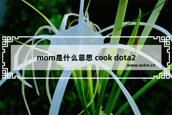 mom是什么意思 cook dota2