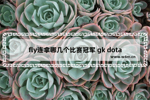 fly连拿哪几个比赛冠军 gk dota2