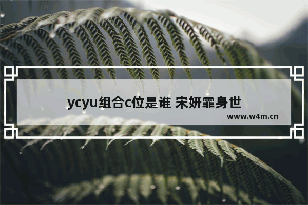 ycyu组合c位是谁 宋妍霏身世