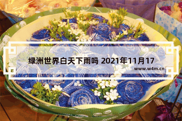 绿洲世界白天下雨吗 2021年11月17日流星雨是从几点开始