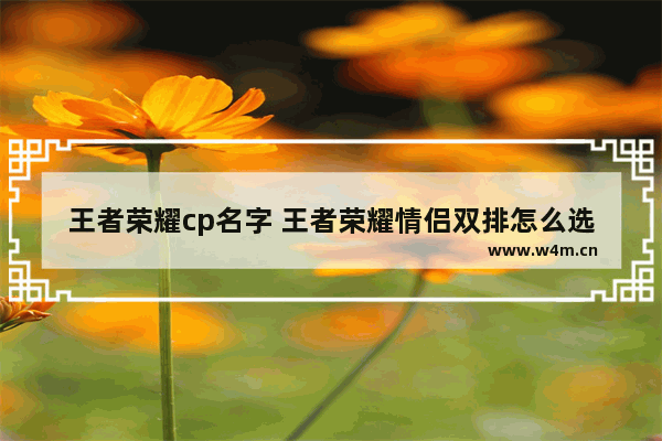 王者荣耀cp名字 王者荣耀情侣双排怎么选英雄