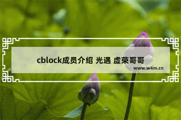 cblock成员介绍 光遇 虚荣哥哥