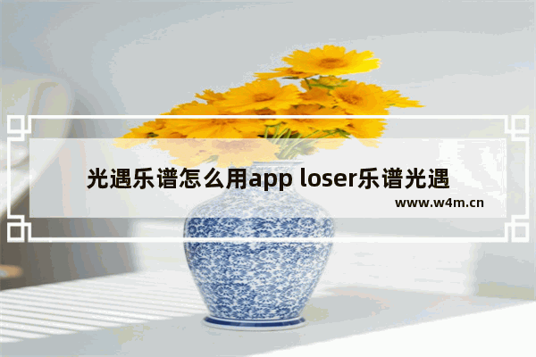 光遇乐谱怎么用app loser乐谱光遇