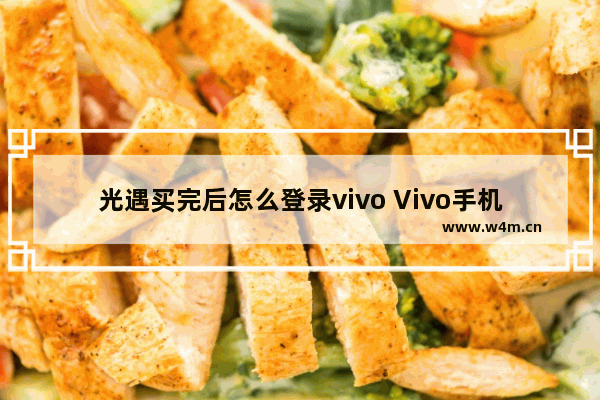 光遇买完后怎么登录vivo Vivo手机如何玩光遇