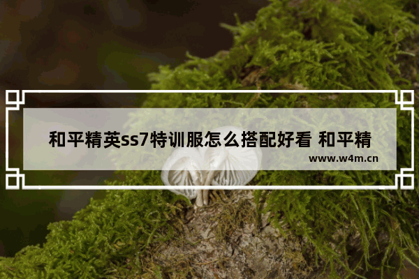 和平精英ss7特训服怎么搭配好看 和平精英ss7结束