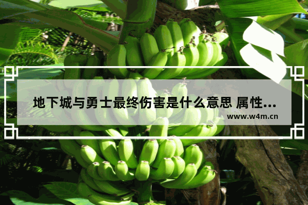 地下城与勇士最终伤害是什么意思 属性附加伤害怎么计算 沃特碧们的Colg DNF地下城与勇士