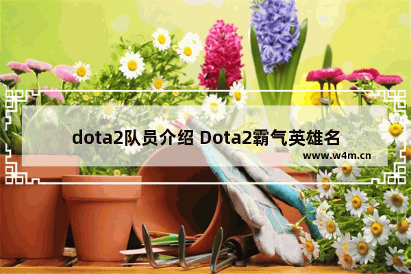 dota2队员介绍 Dota2霸气英雄名字