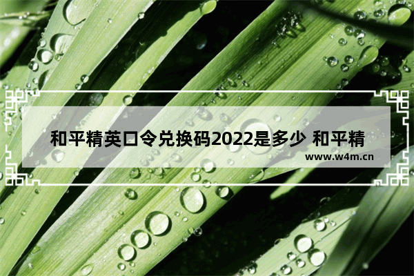 和平精英口令兑换码2022是多少 和平精英口令码2022年最新兑换码