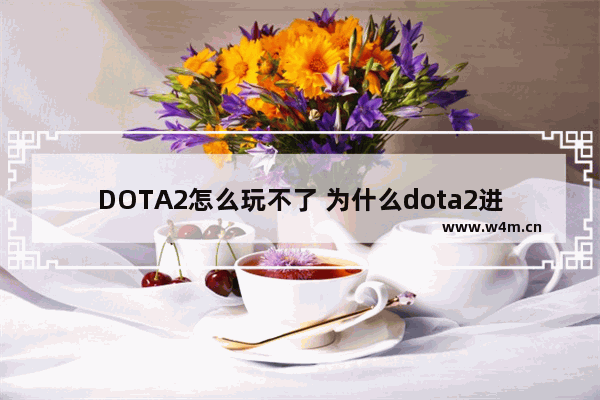 DOTA2怎么玩不了 为什么dota2进不去