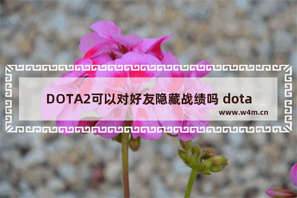 DOTA2可以对好友隐藏战绩吗 dota2 隐藏资料