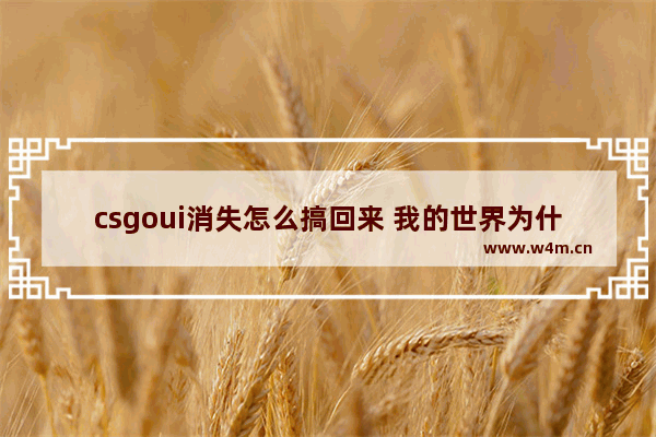 csgoui消失怎么搞回来 我的世界为什么没有ui界面