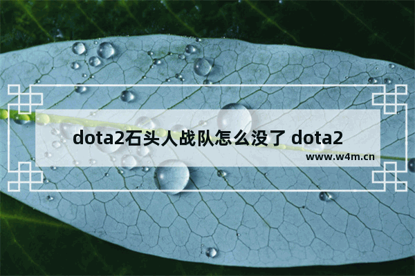 dota2石头人战队怎么没了 dota2去和谐