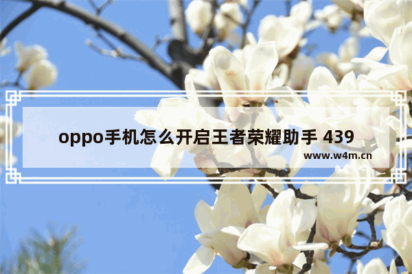 oppo手机怎么开启王者荣耀助手 4399王者荣耀助手怎么登录