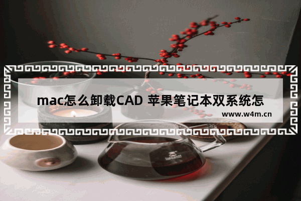 mac怎么卸载CAD 苹果笔记本双系统怎么删除mac系统