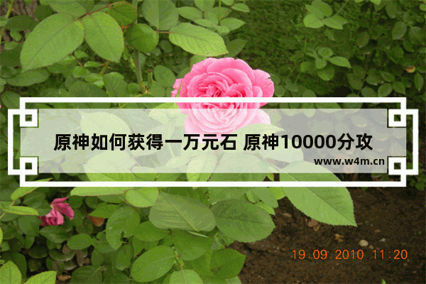 原神如何获得一万元石 原神10000分攻略