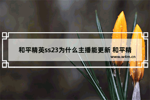 和平精英ss23为什么主播能更新 和平精英新的主播