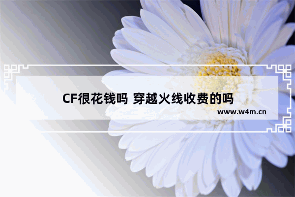 CF很花钱吗 穿越火线收费的吗