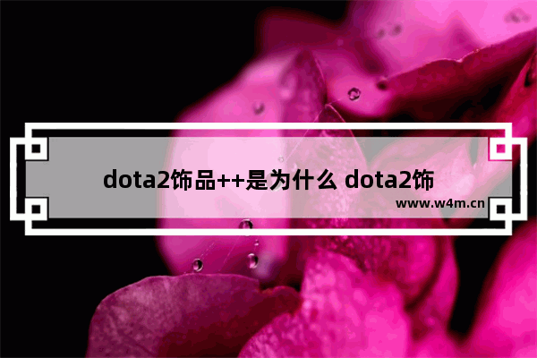 dota2饰品++是为什么 dota2饰品最贵