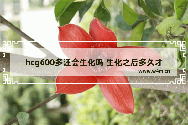 hcg600多还会生化吗 生化之后多久才能怀孕