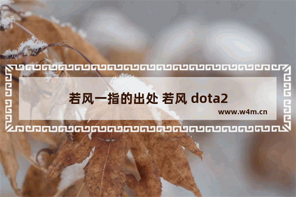 若风一指的出处 若风 dota2