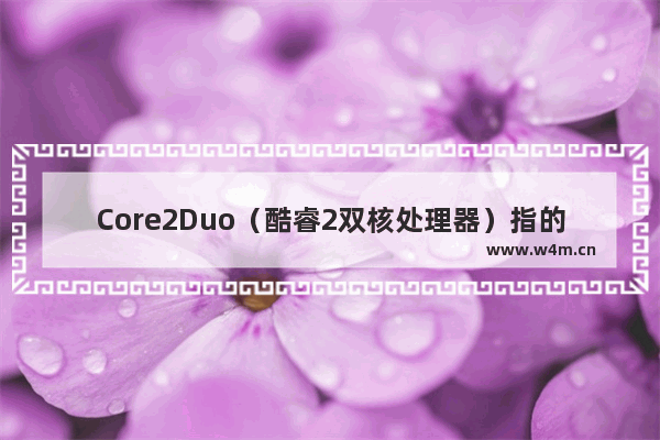 Core2Duo（酷睿2双核处理器）指的是什么呢 dota2双核