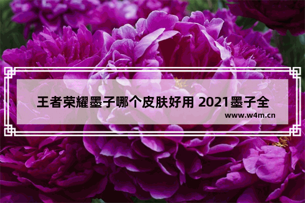 王者荣耀墨子哪个皮肤好用 2021墨子全肉辅助出装