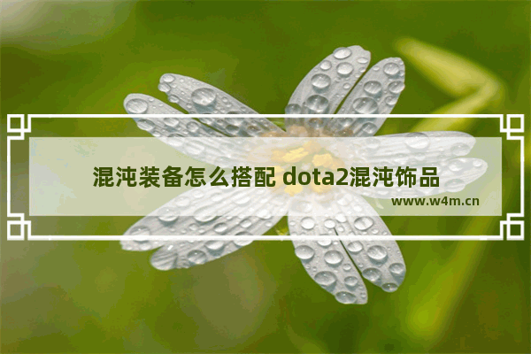 混沌装备怎么搭配 dota2混沌饰品