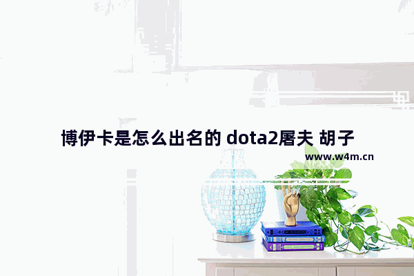 博伊卡是怎么出名的 dota2屠夫 胡子