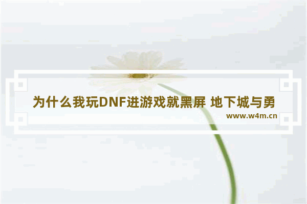 为什么我玩DNF进游戏就黑屏 地下城与勇士如何防止黑屏