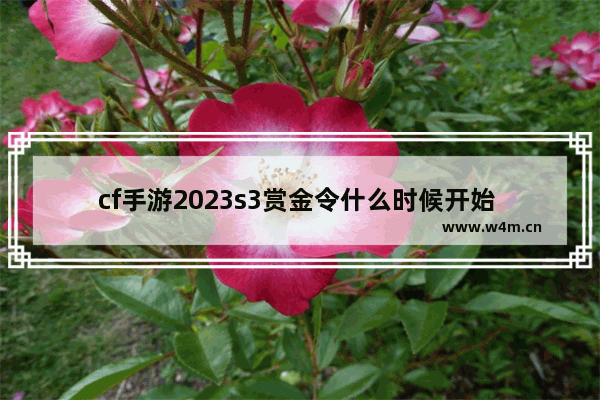 cf手游2023s3赏金令什么时候开始 穿越火线火线赏金令