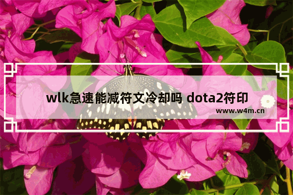 wlk急速能减符文冷却吗 dota2符印