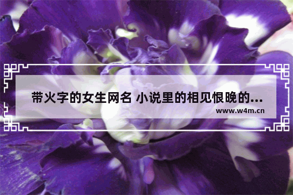 带火字的女生网名 小说里的相见恨晚的语句