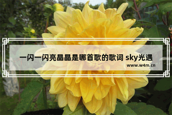 一闪一闪亮晶晶是哪首歌的歌词 sky光遇 孤星