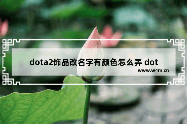 dota2饰品改名字有颜色怎么弄 dota2喷绘怎么设置